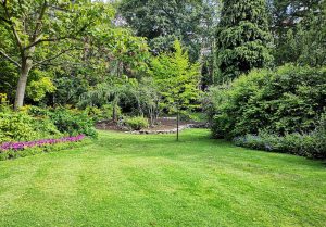 Optimiser l'expérience du jardin à Combres-sous-les-Cotes